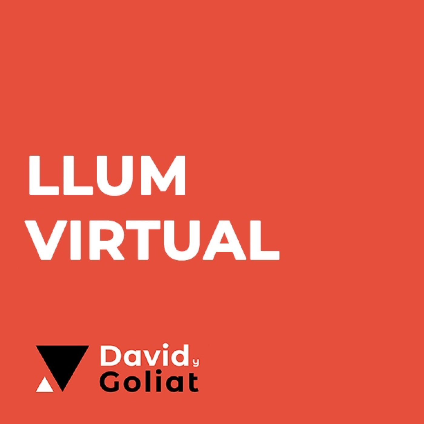 Capítulo 19 - Llum Virtual - Comparte y ahorra energía episode artwork