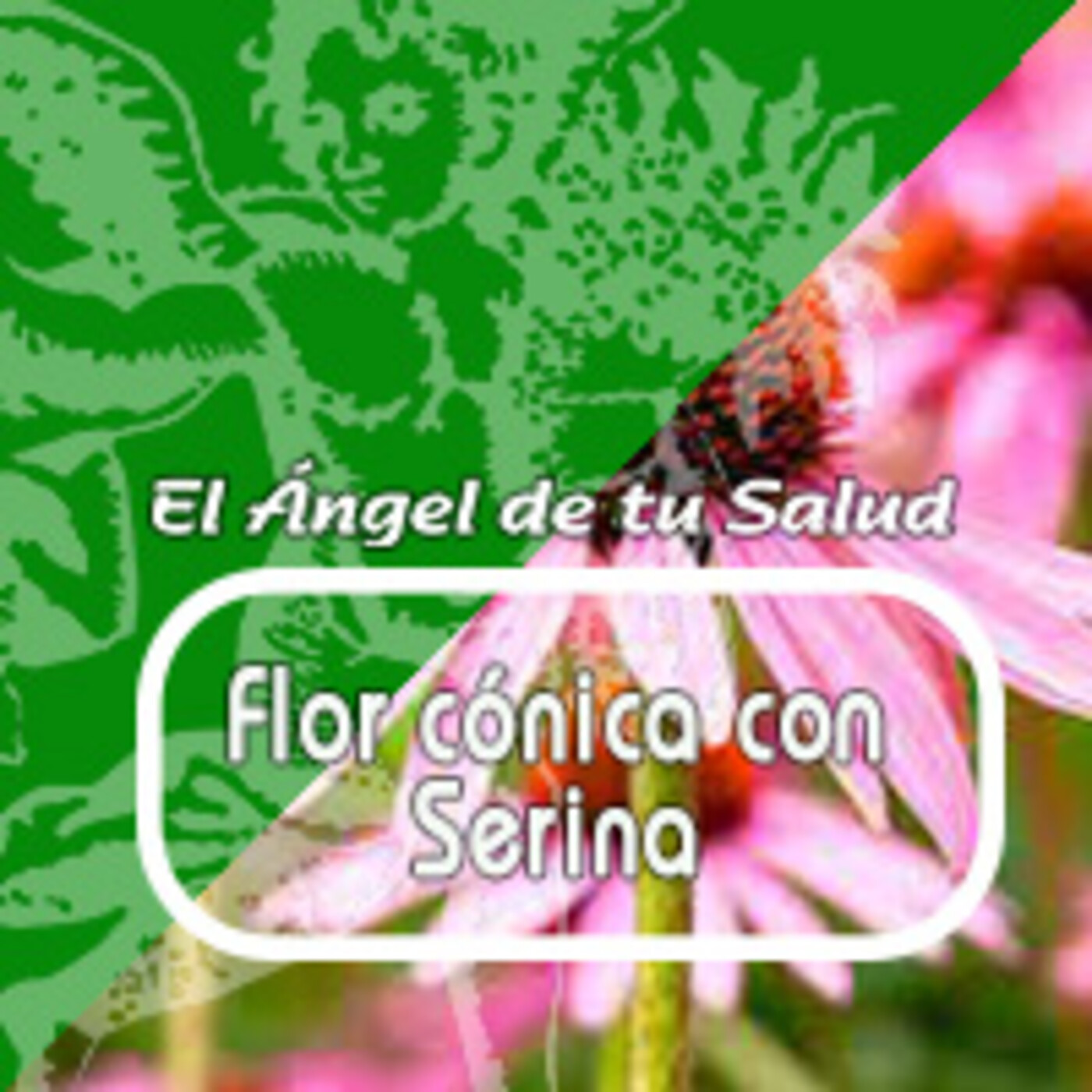El Angel de tu Salud - FLOR CÓNICA CON SERINA***