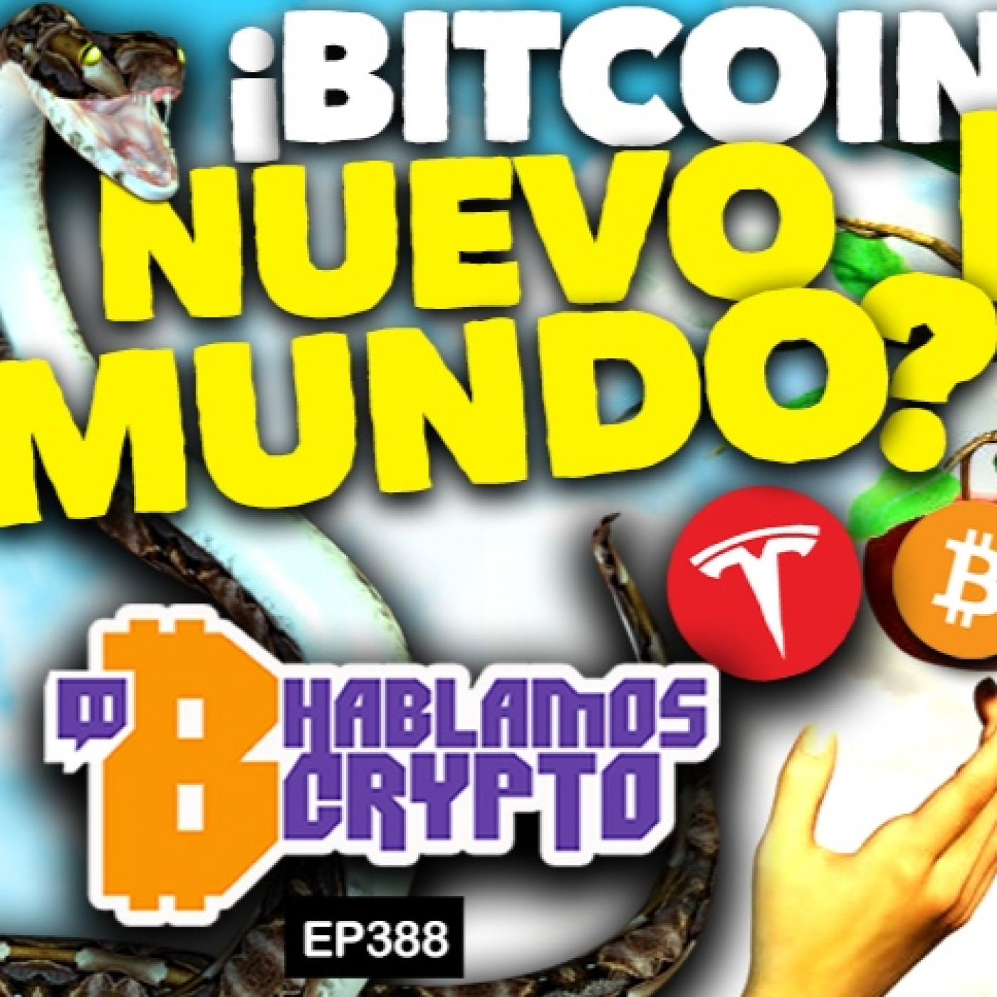 ¡BITCOIN NUEVO FIN DEL MUNDO!