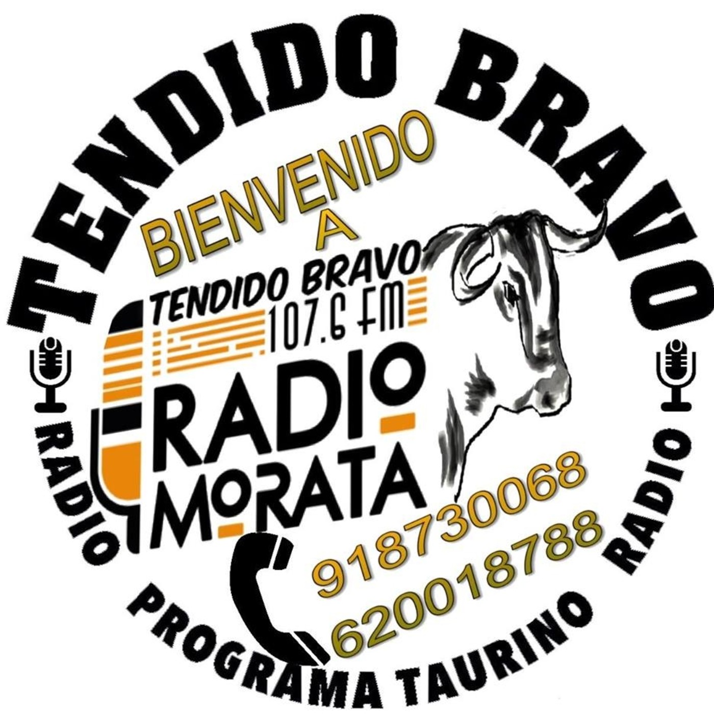TENDIDO BRAVO
