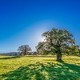 Meditación del cielo azul