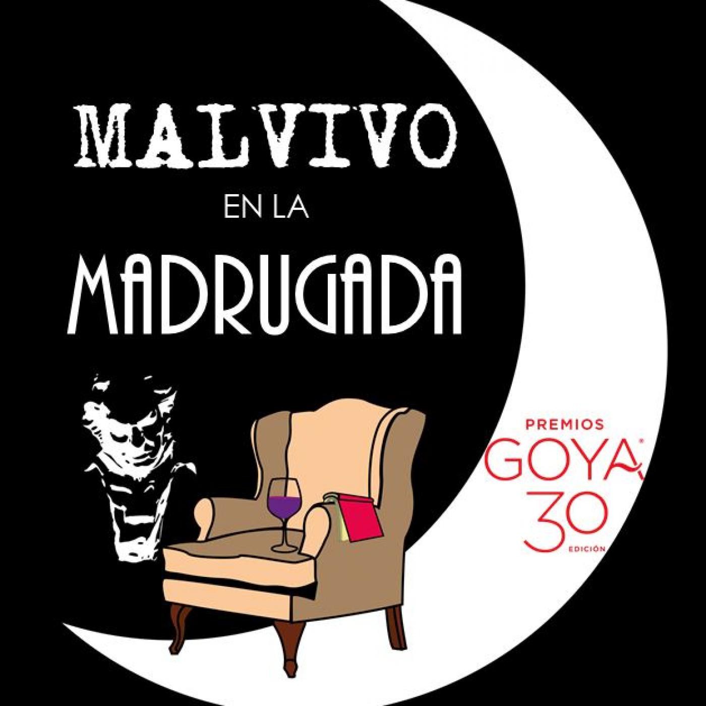 MALVIVO EN LA MADRUGADA