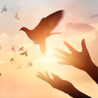 243.- ¿Cómo reacciones ante los imprevistos? Mindfulness para aceptar