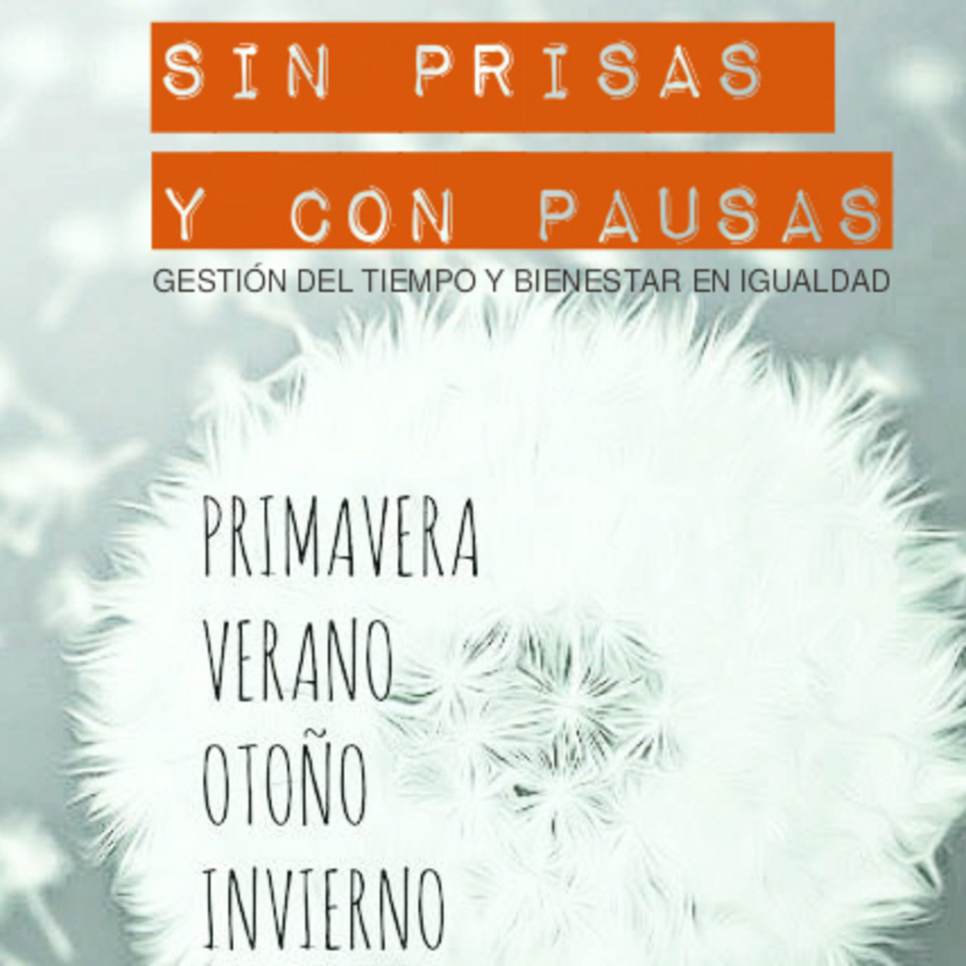 SIN PRISAS Y CON PAUSAS - Igualdad y bienestar