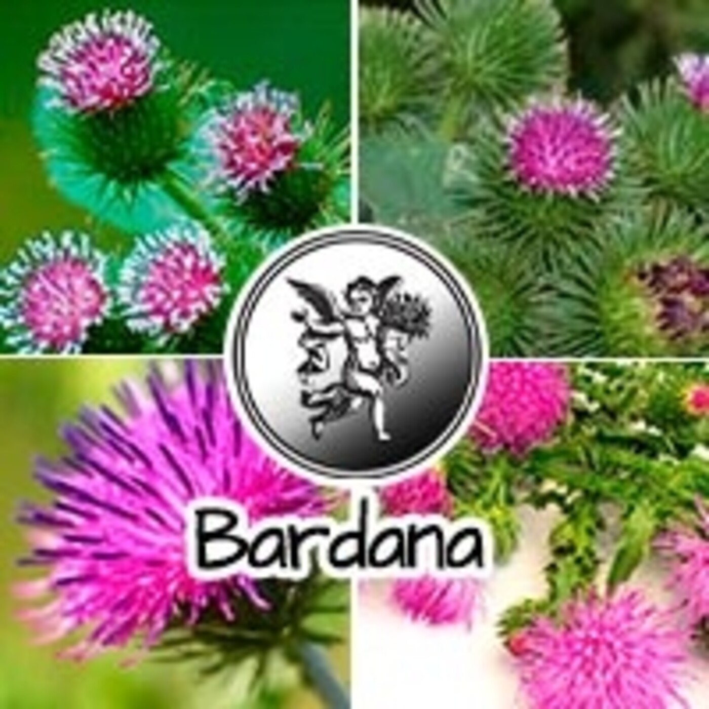 El Angel de tu Salud - BARDANA episode artwork