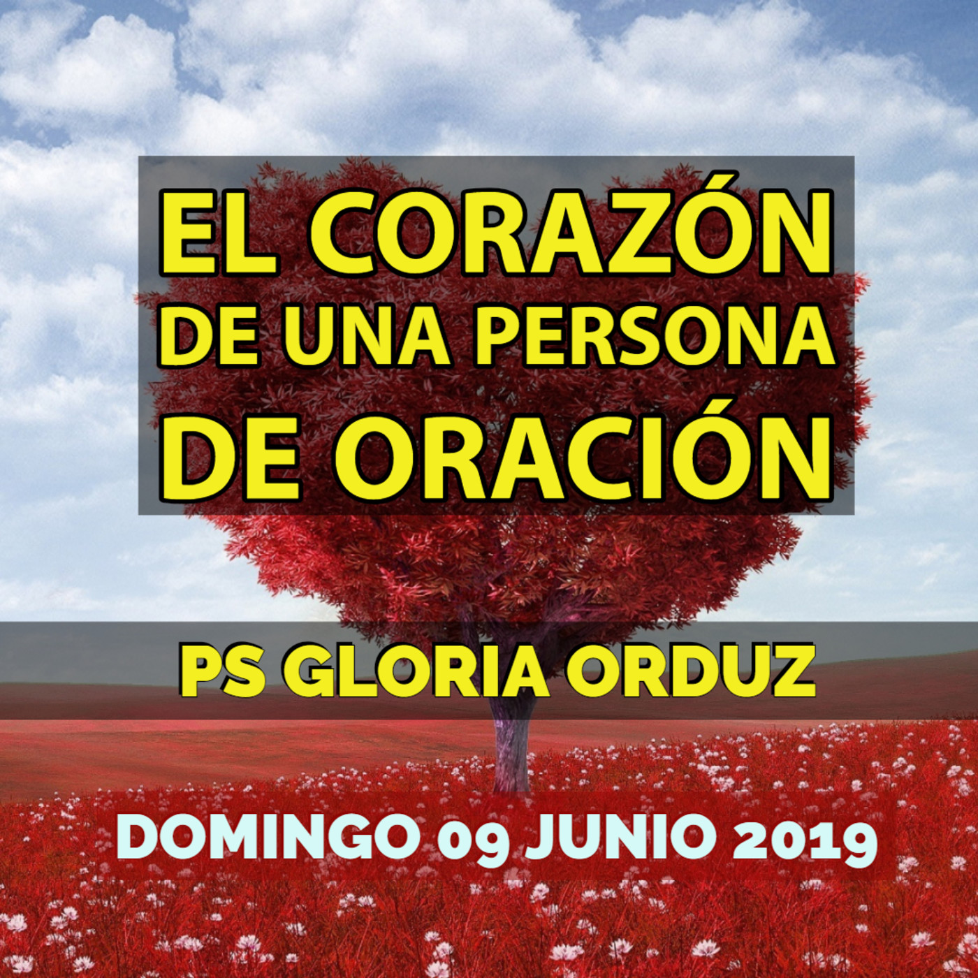 IGLESIA CBI PROVENZA