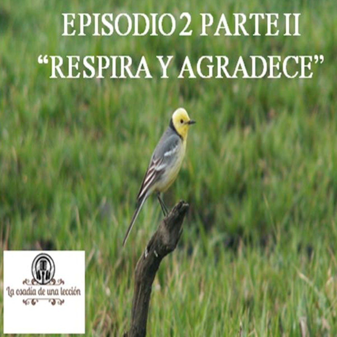 LA OSADIA DE UNA LECCION