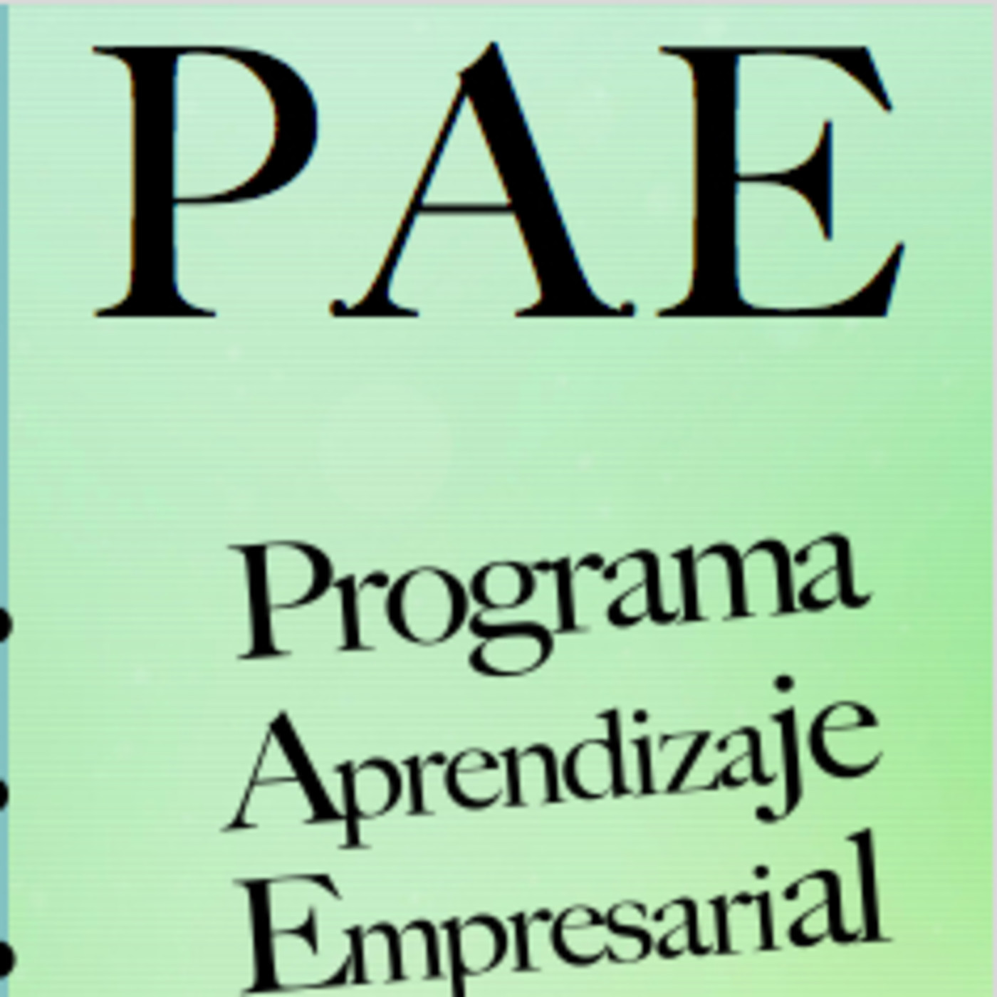 PROGRAMA DE APRENDIZAJE EMPRESARIAL - P.A.E