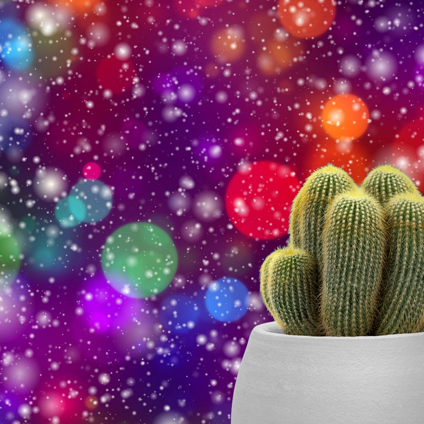 Cactus Confetti