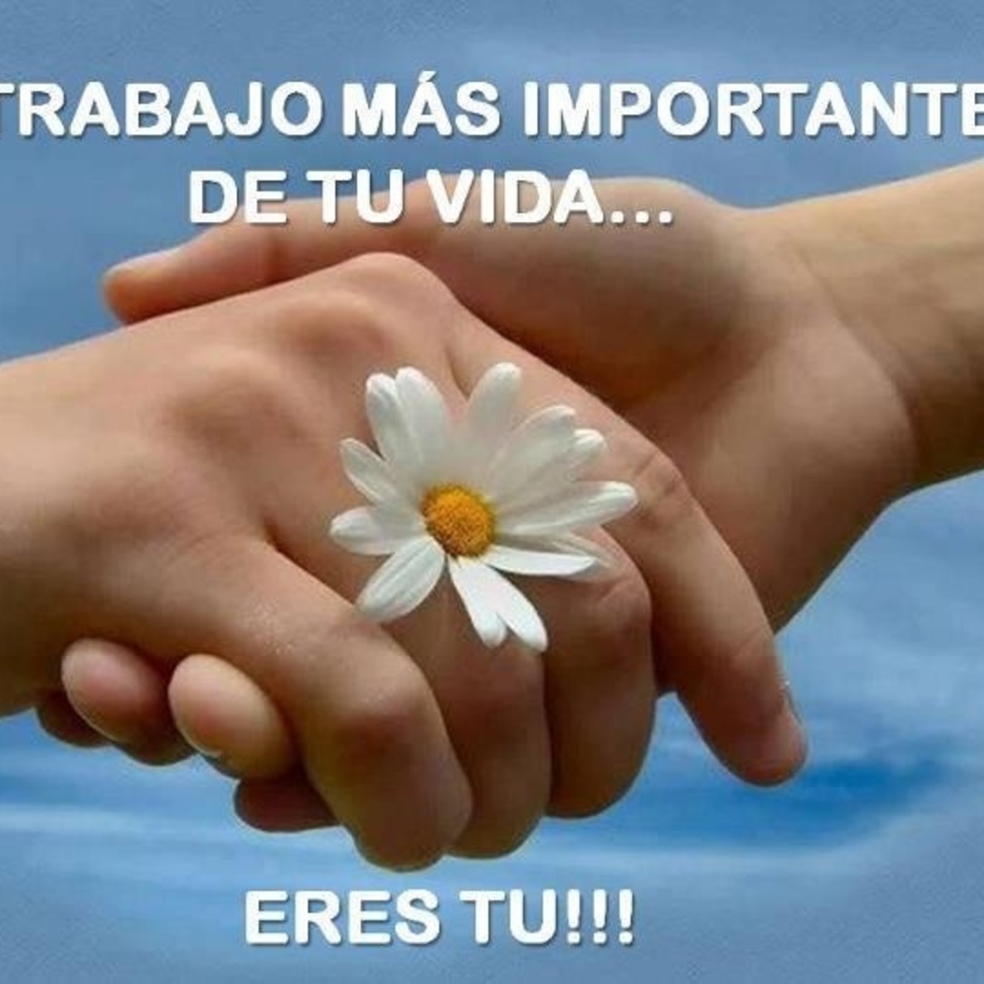 Manejo de emisiones, aprender a amarte.