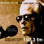 "Nocturn Samba" Peter Tulkin: From Far Away