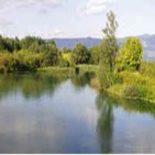 5 de marzo de 2.012: la Batalla del Río Frígido, el lugar donde murieron los dioses (5-6 septiembre 394 e.c.)