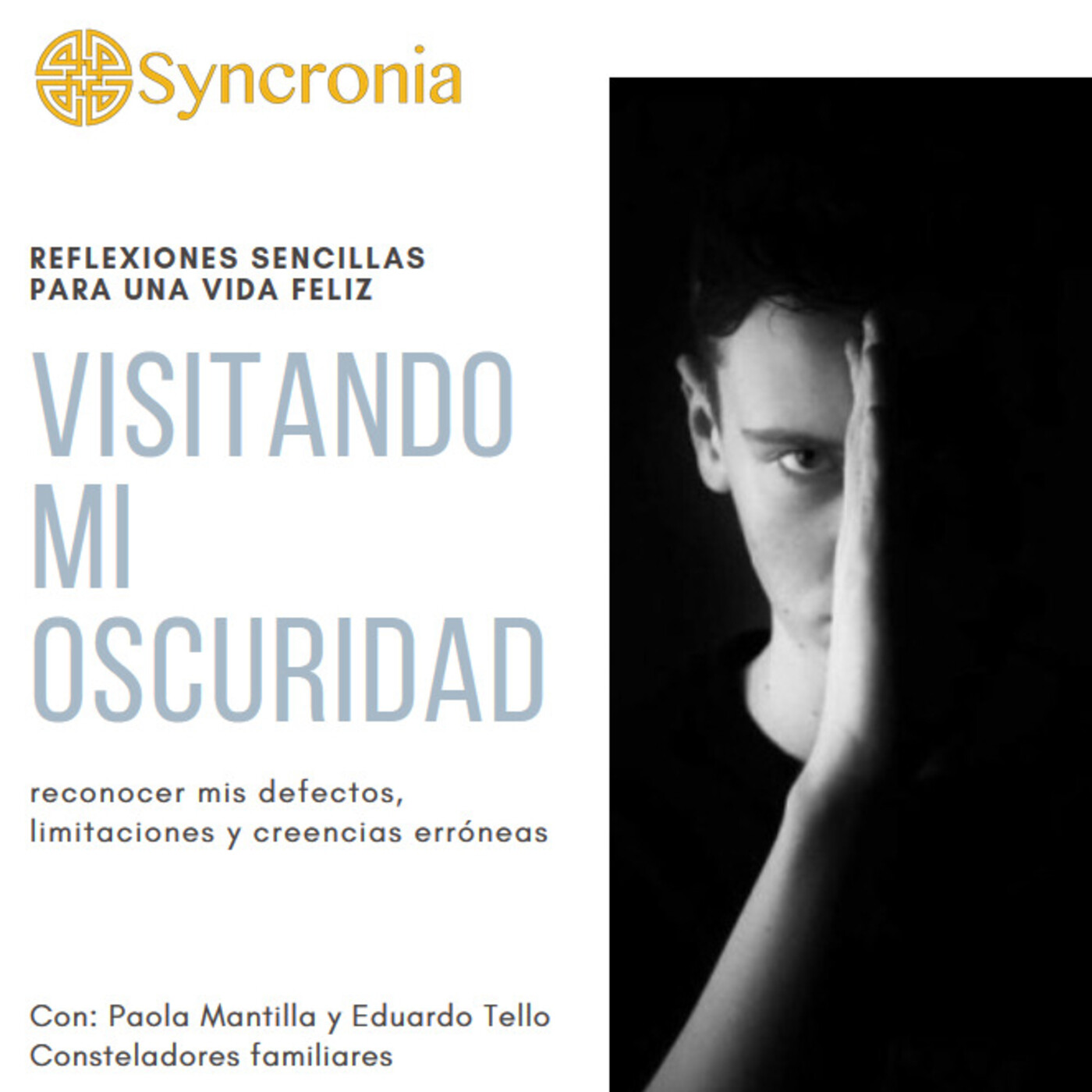 Charlas Syncronia