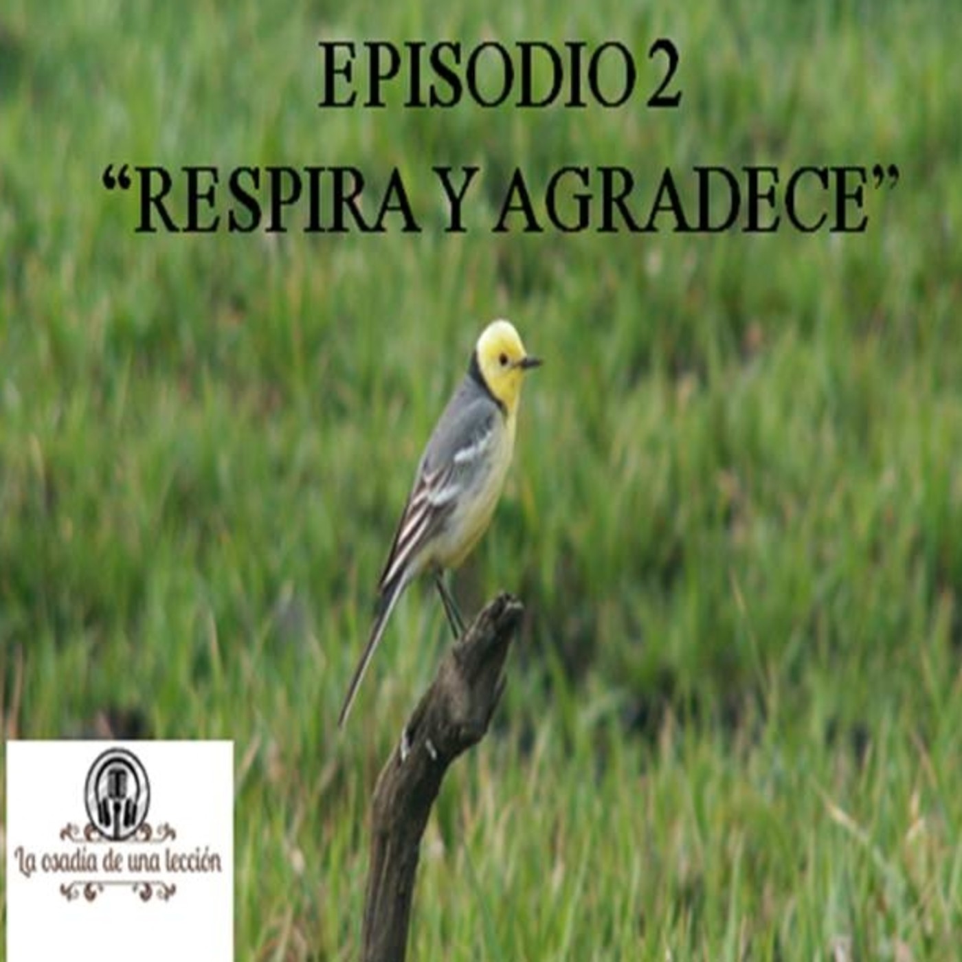 LA OSADIA DE UNA LECCION