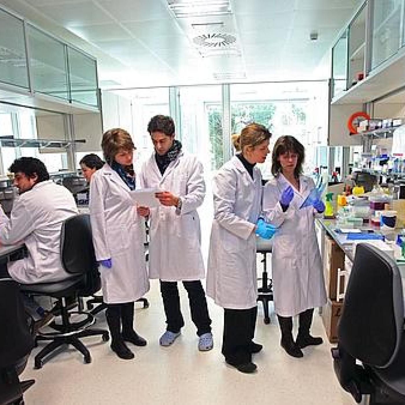 Entrevistas Alex Sevilla