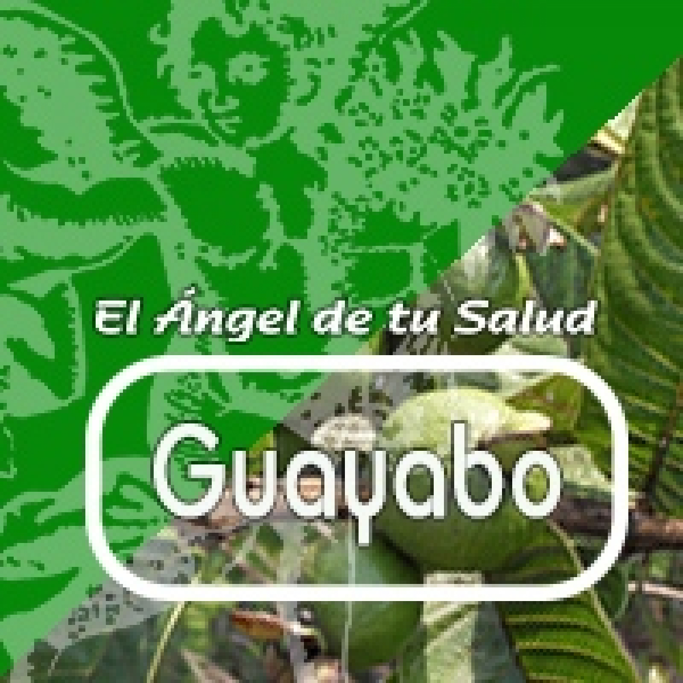 El Angel de tu Salud - GUAYABO**** episode artwork