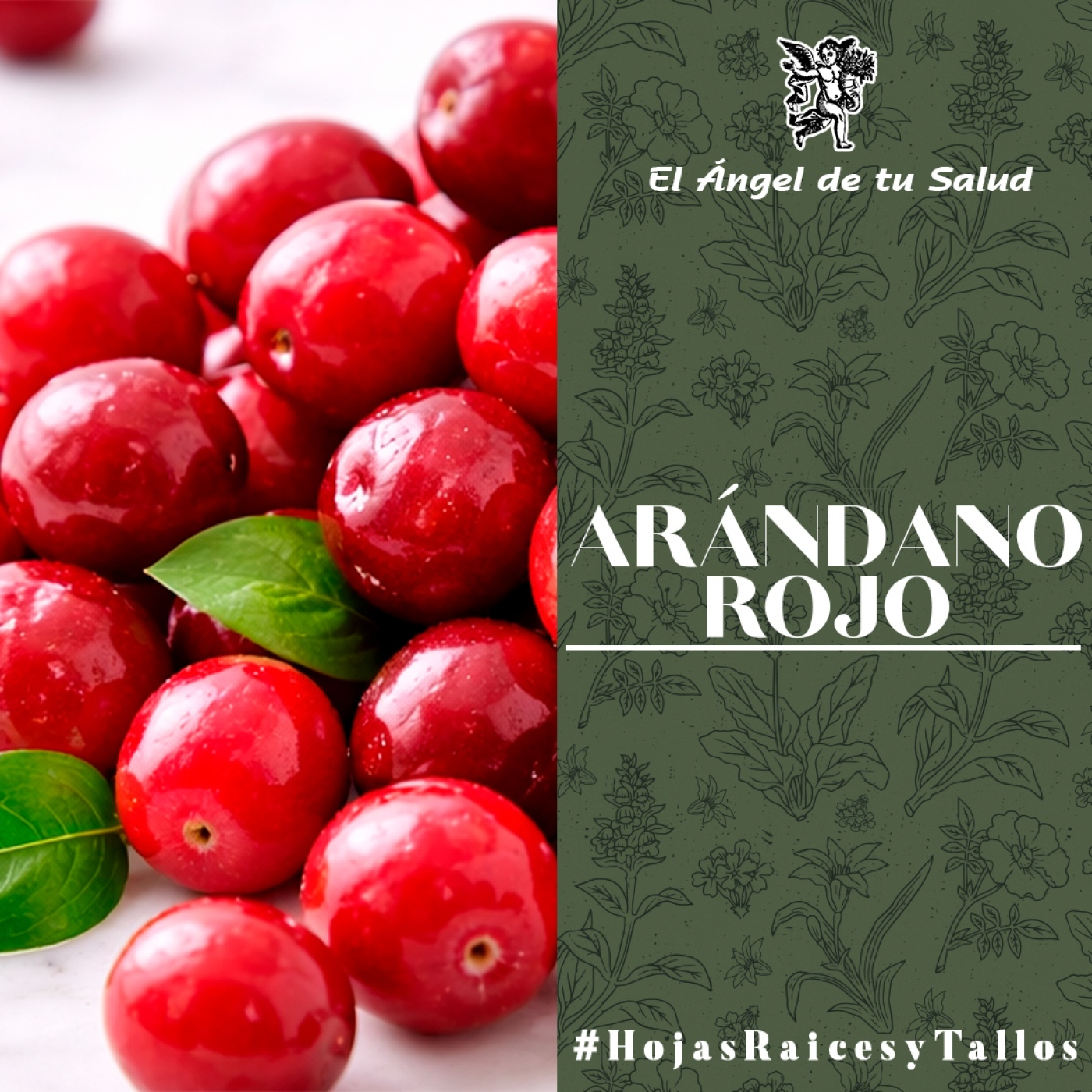 El Ángel de tu Salud - Arándano Rojo** episode artwork