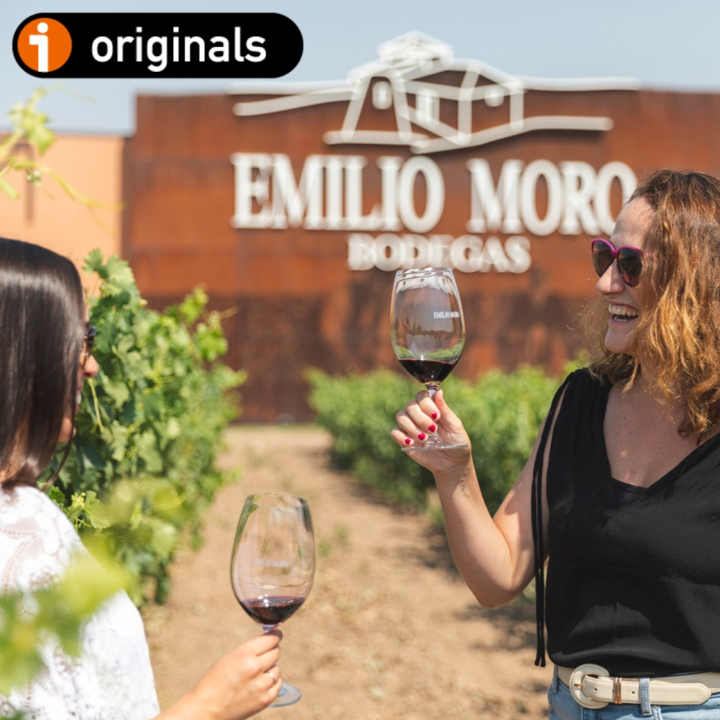 VINO PARA CAMALEONES