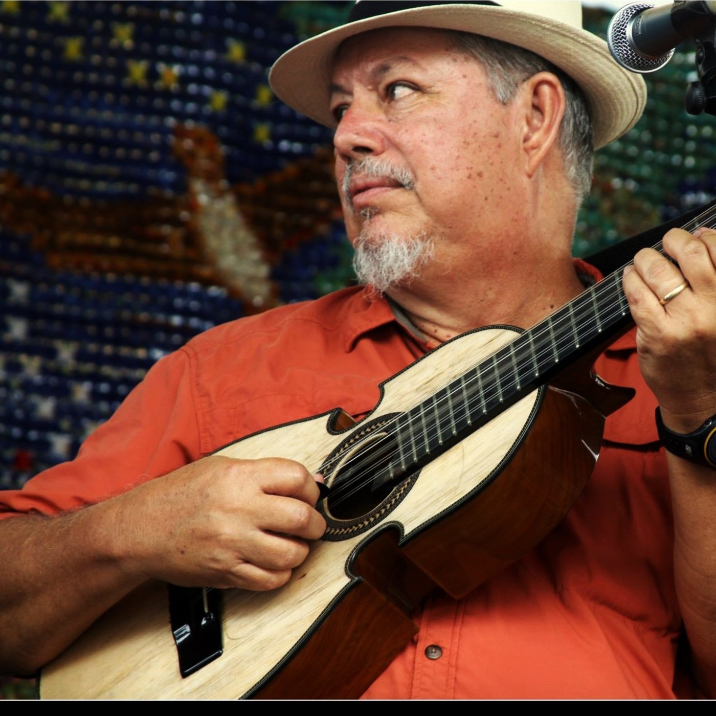 Trovadores y Juglares