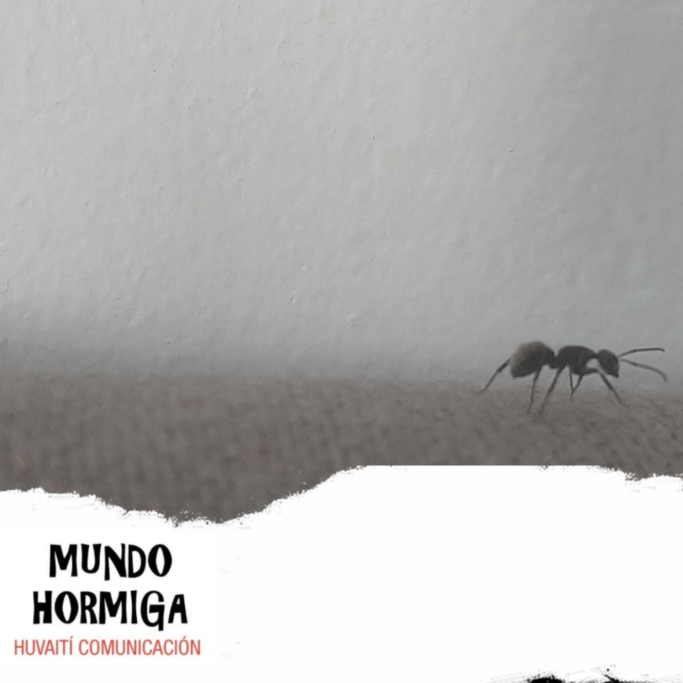 Mundo Hormiga 19 de septiembre de 2021 episode artwork