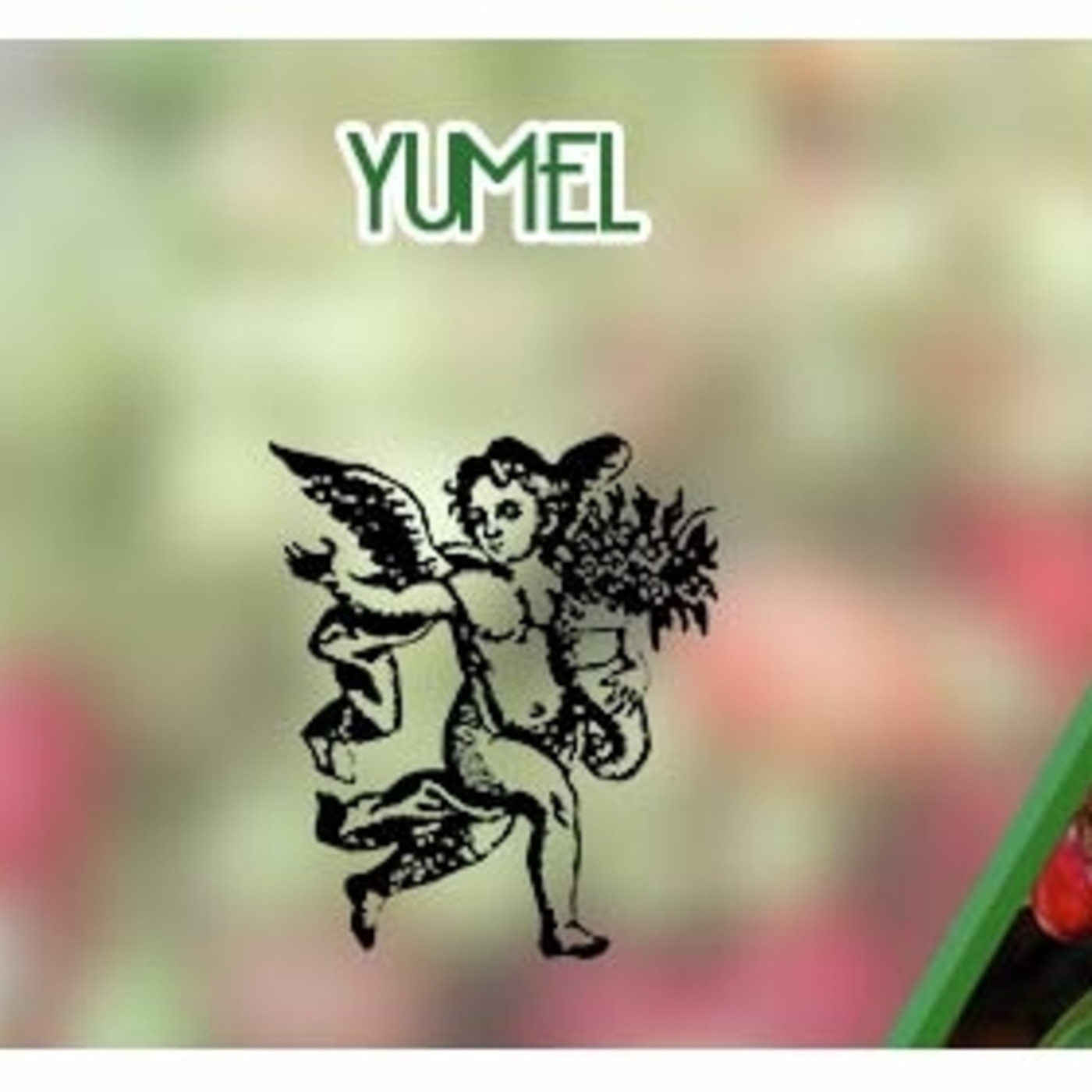 El Ángel de tu Salud - YUMEL* episode artwork