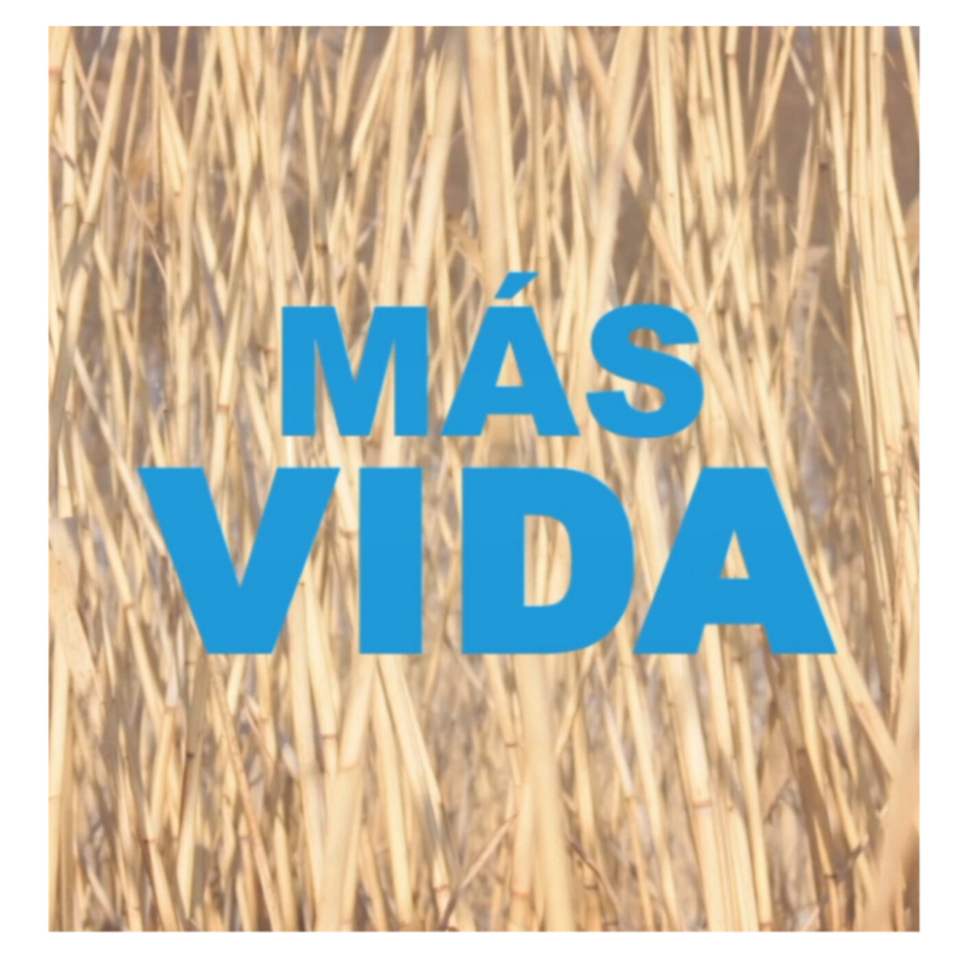 MÁS VIDA
