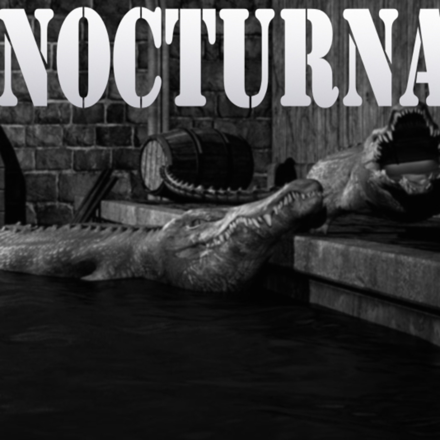 Fogata Nocturna