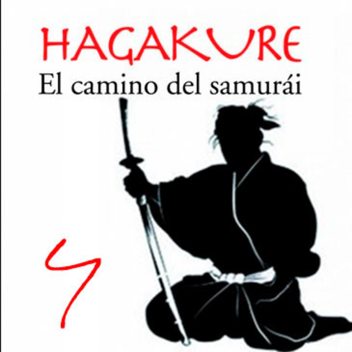 Dragonz | Artes Marciales y Deportes de Contacto