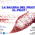 Balena del Prat.. Vols tornar a casa?