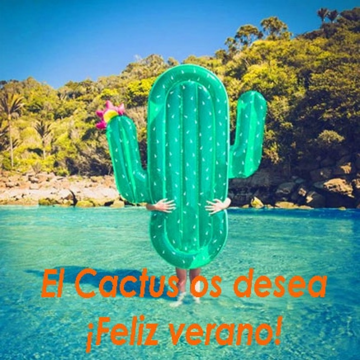 El Cactus