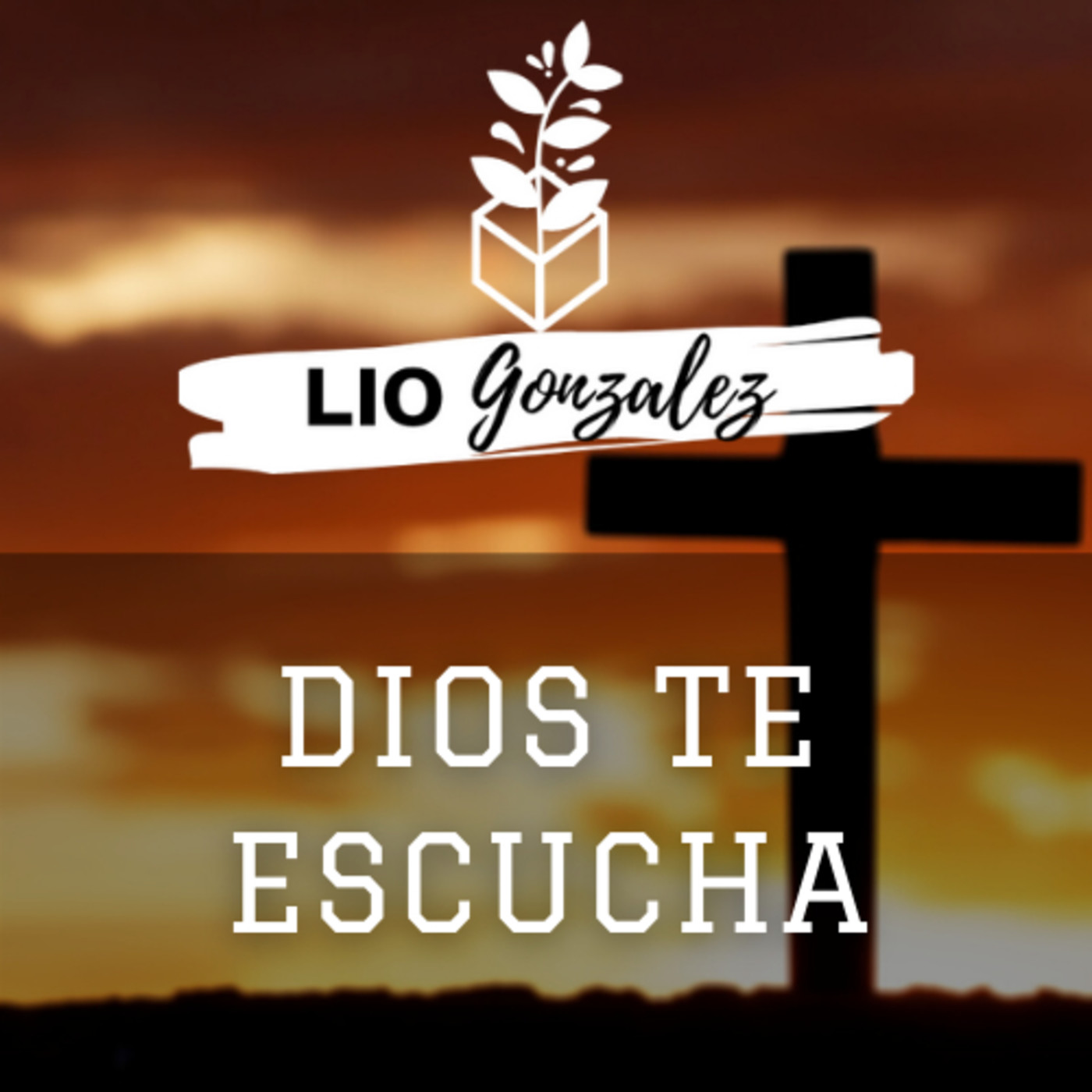 Lio Gonzalez