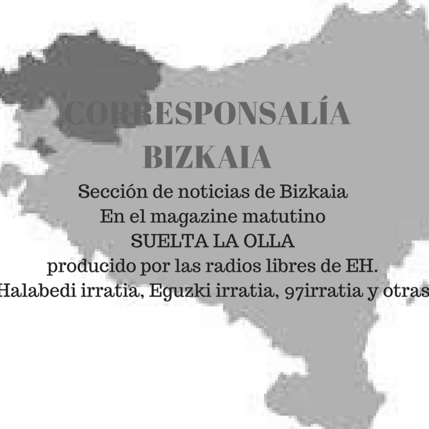 corresponsalía bizkaia