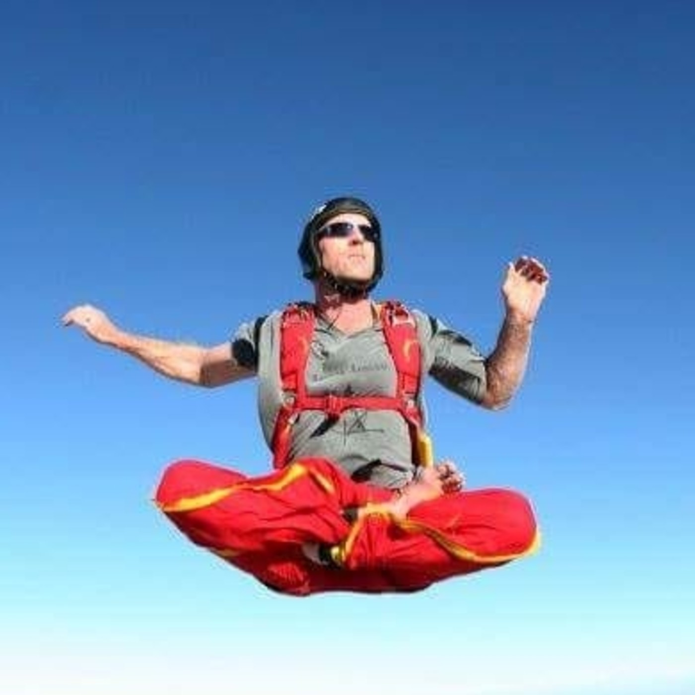 Quick Pulga y Garrapata 73-Craig Amrine