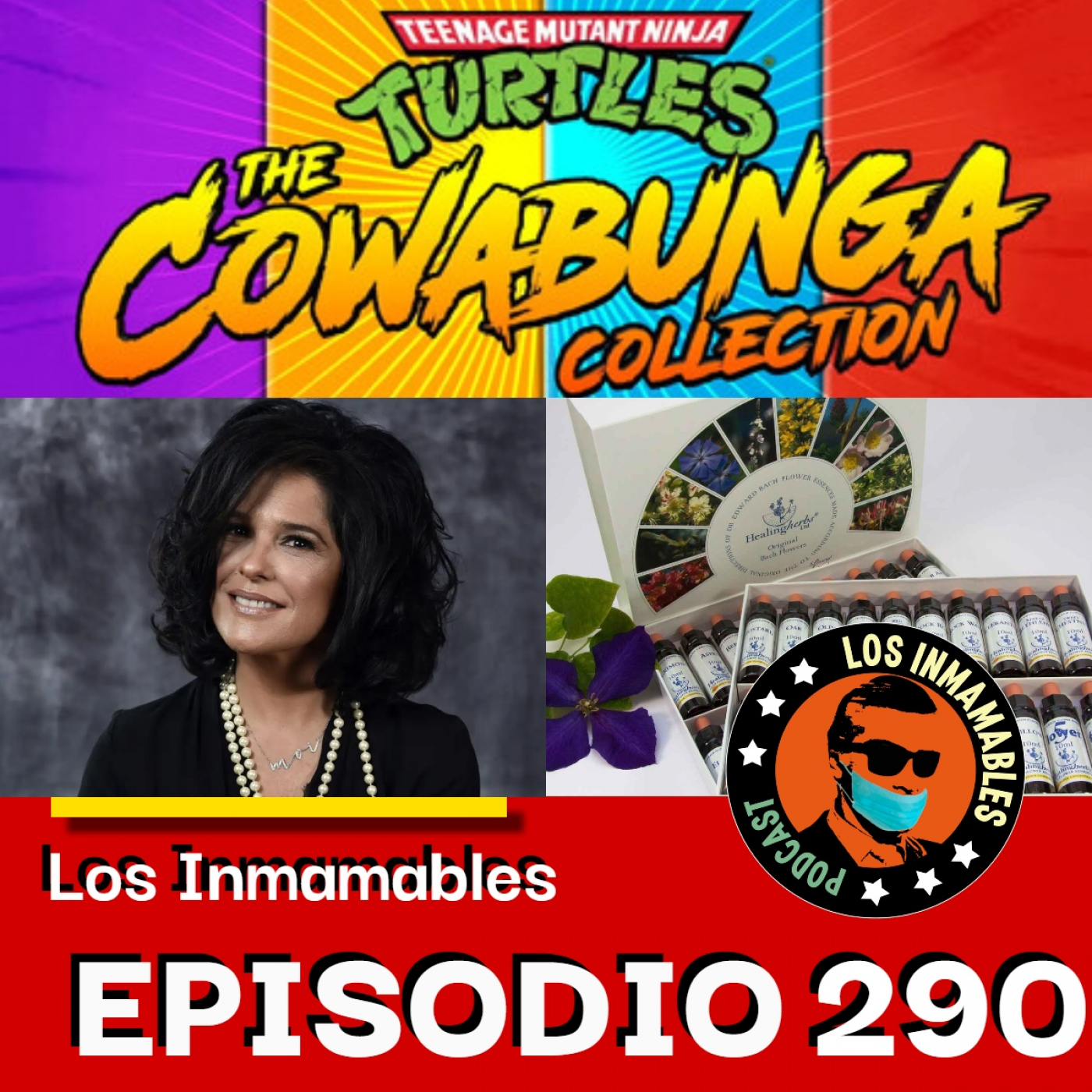 290 Las Flores de Bach, Tortugas Ninja y Martha Debayle! episode artwork