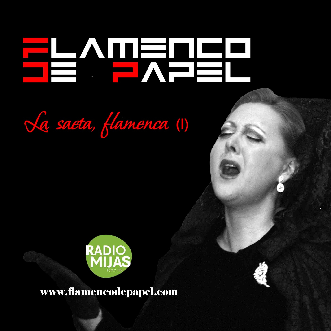 FLAMENCO DE PAPEL