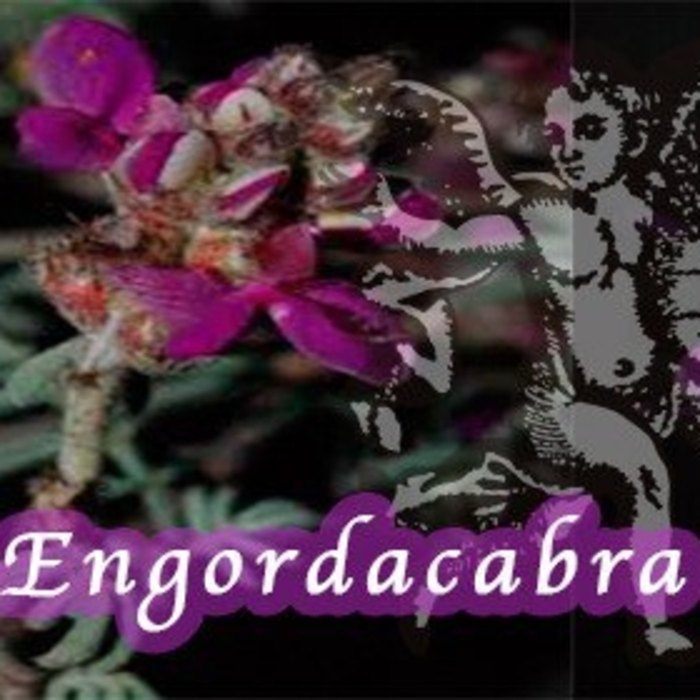 El Angel de tu Salud - ENGORDACABRA episode artwork
