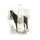 904 - The Puzzles