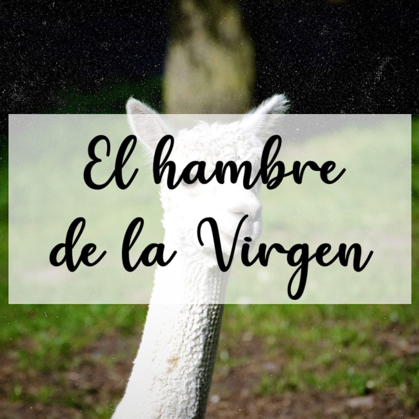 Las Escritoras de Urras