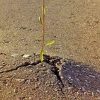 Construindo Cidadania 672- Recursos Naturais na perspectiva das comunidades impactdadas