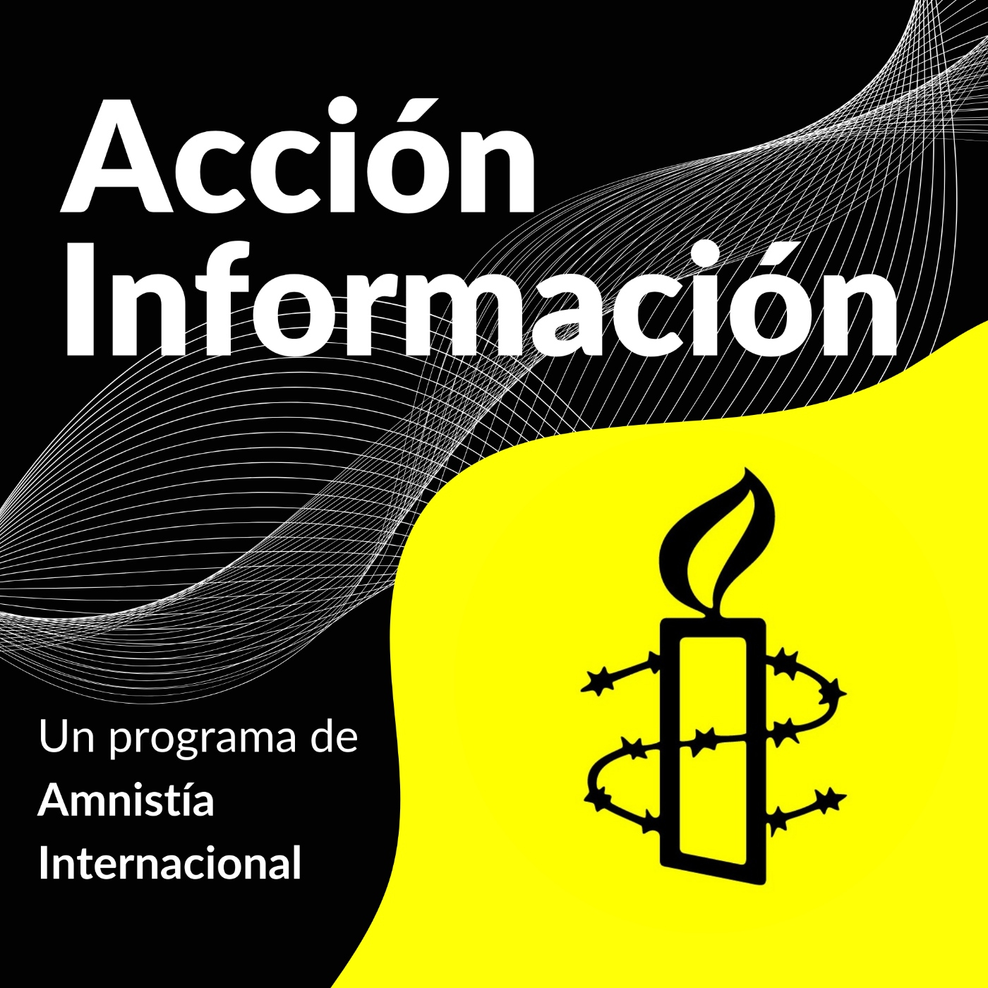Últimos programas en Radio USAL