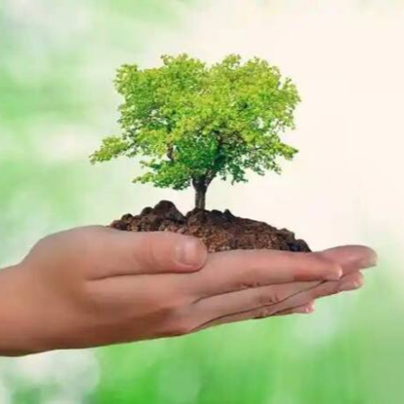 Villa Clara ratifica condición de provincia destacada en el Día Mundial del Medio Ambiente episode artwork