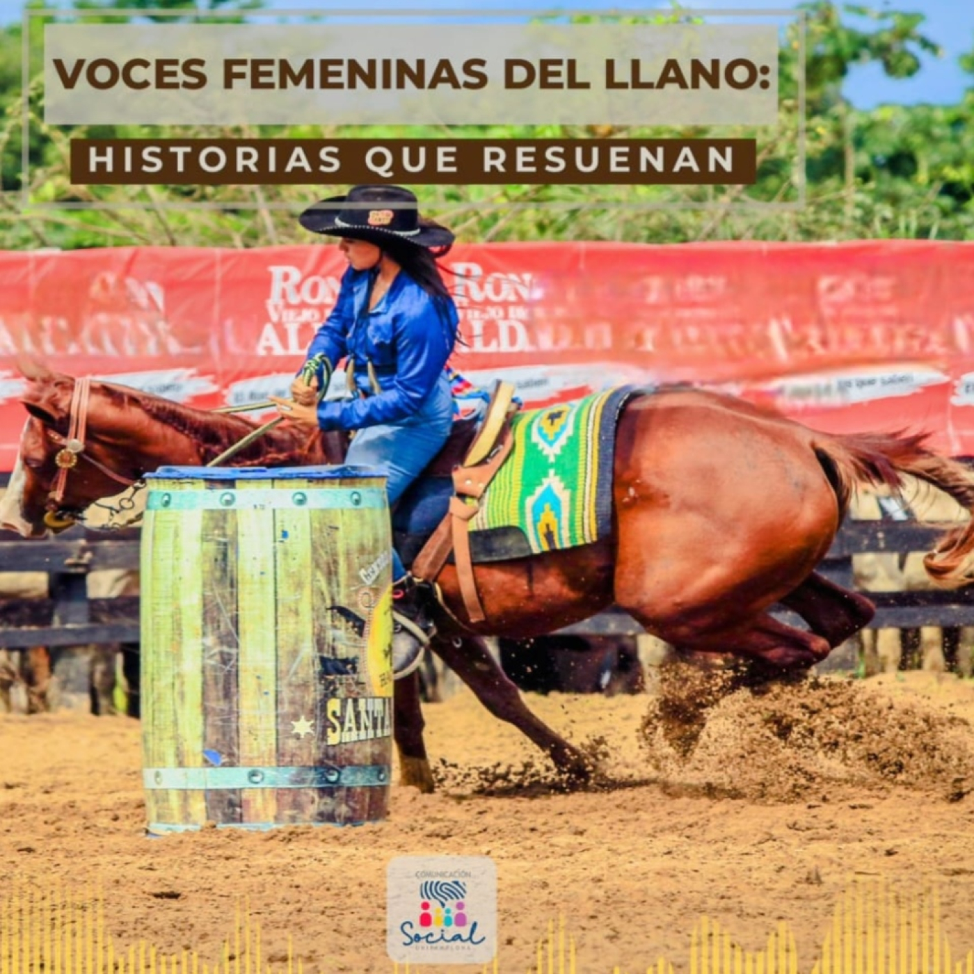Miradas y Voces