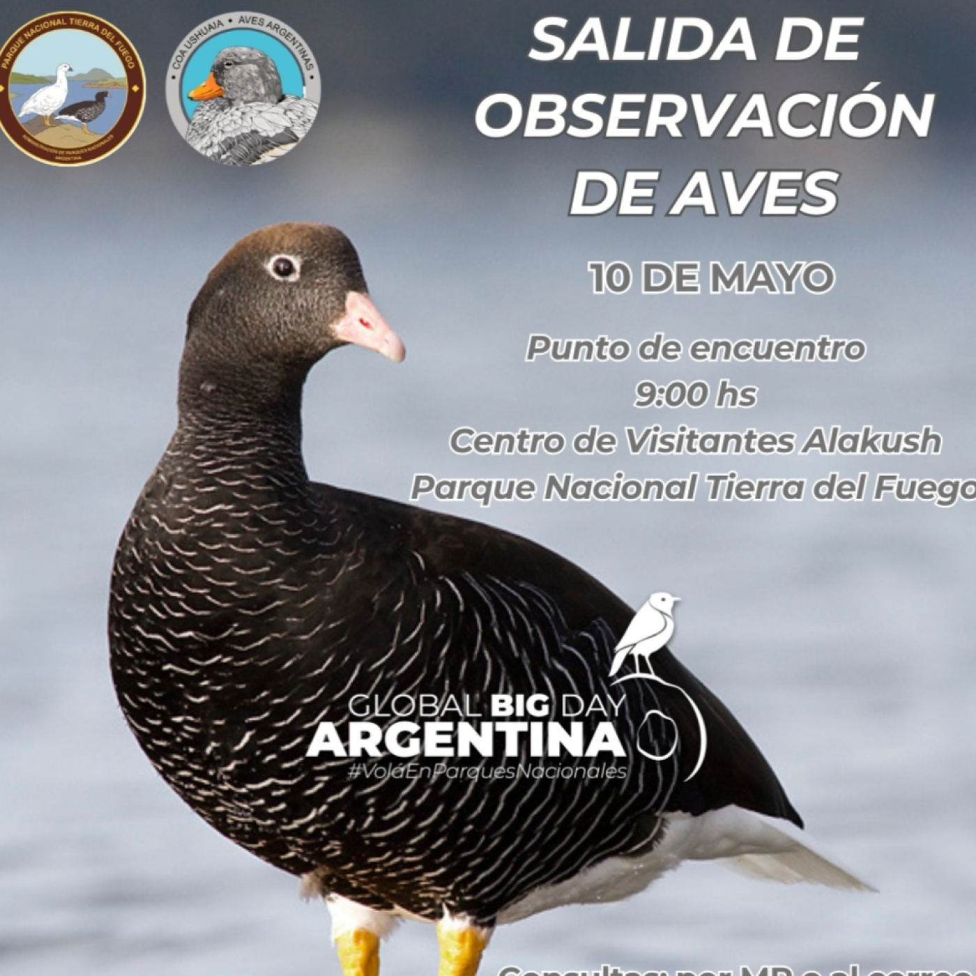 Eco Vida Ambiente