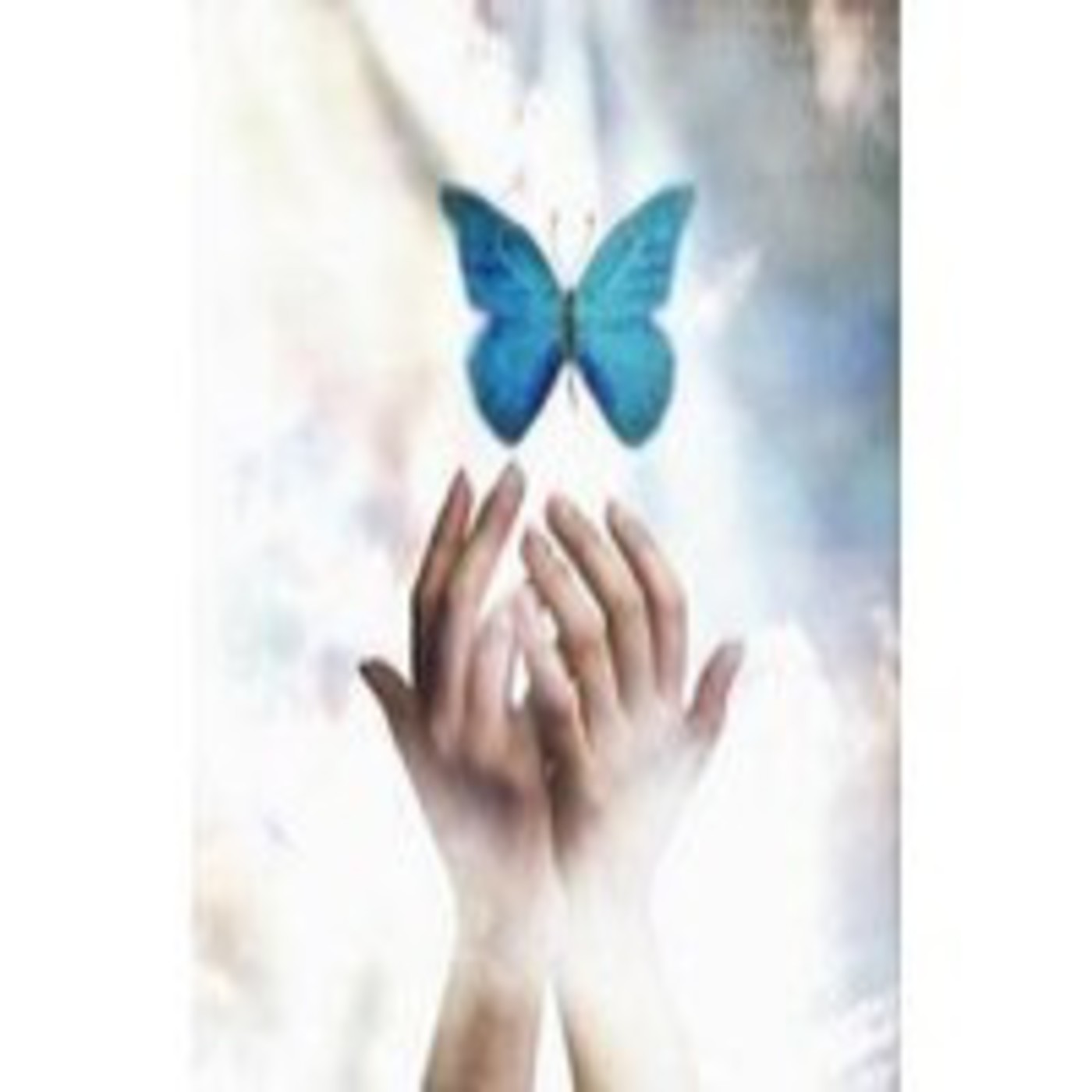 Colección de Mariposas...Música para sentir