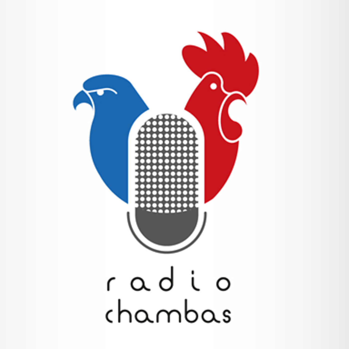 Entrevista a destacada educadora chambera episode artwork