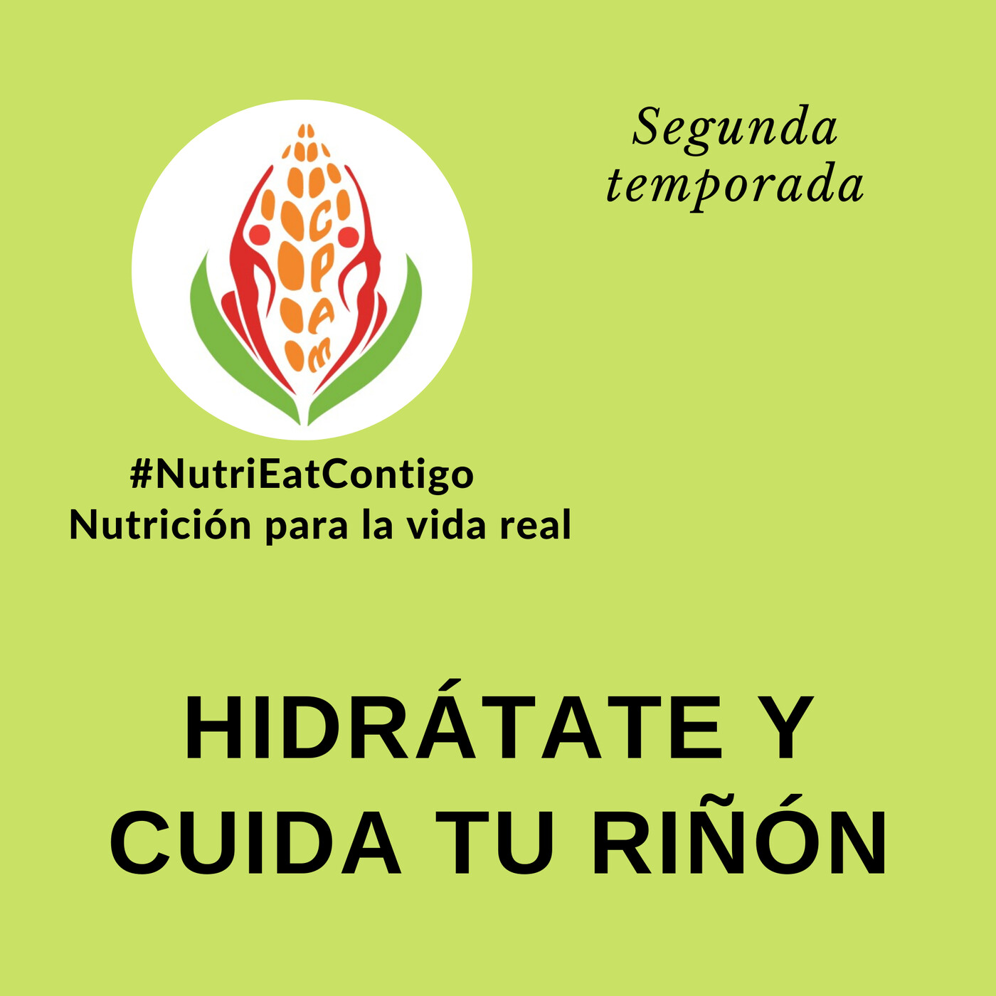 NutriEat Contigo