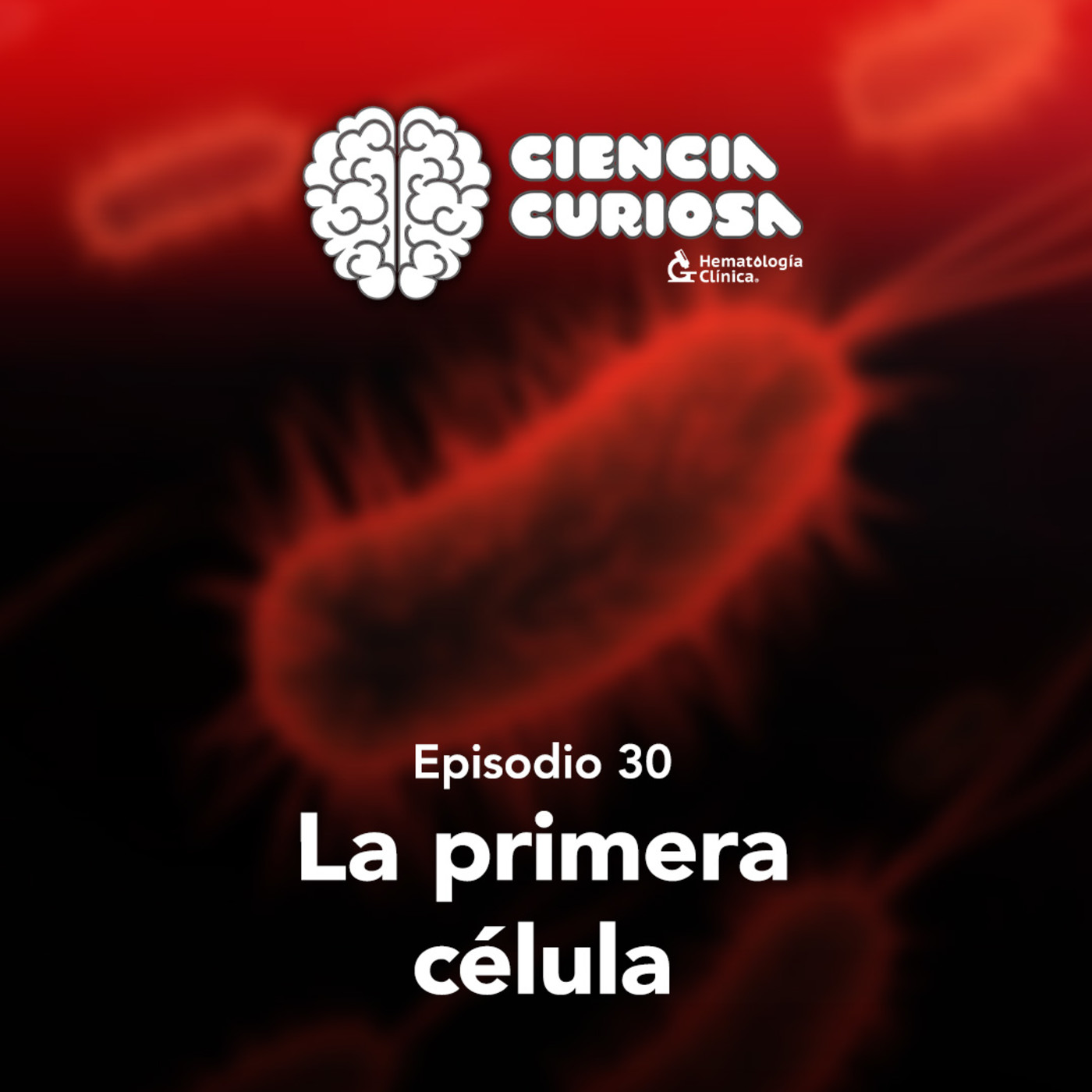 Ciencia Curiosa