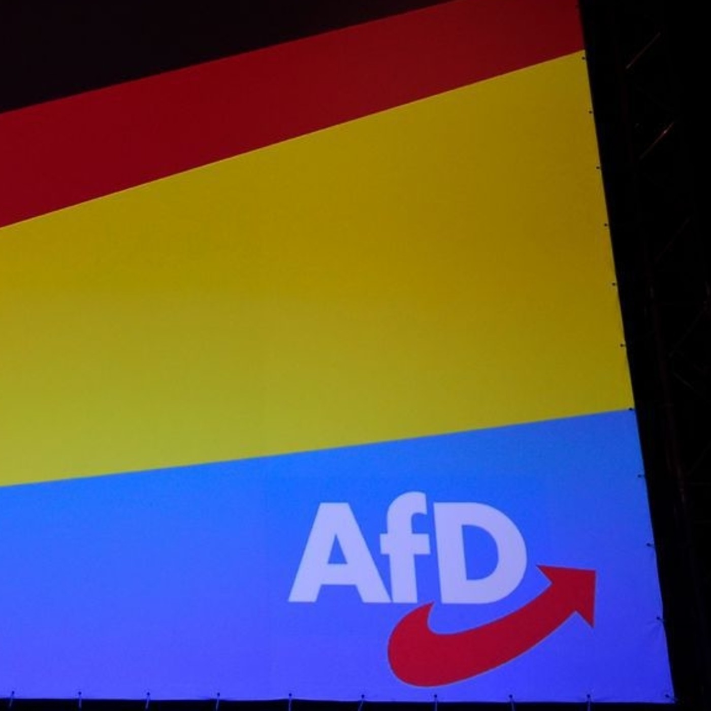 Carlos Fuster analiza el Congreso de la AfD y su nuevo coPresidente episode artwork