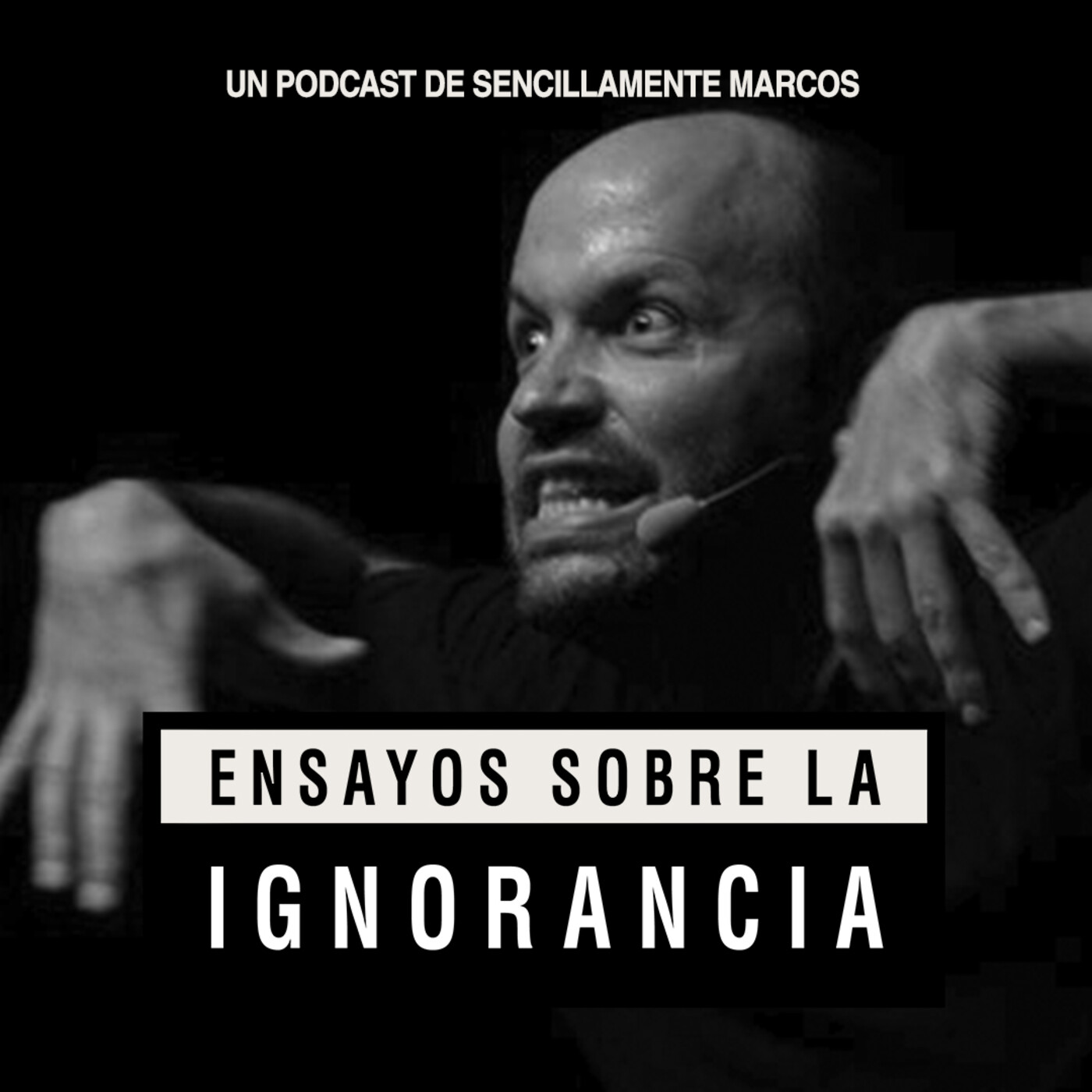 Ensayos sobre la ignorancia