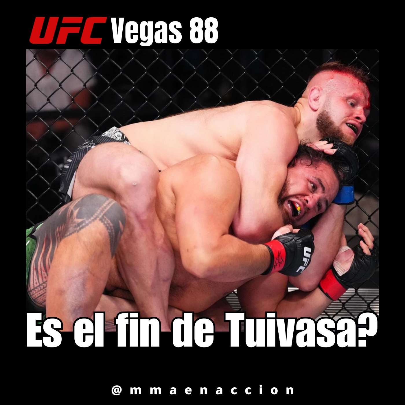 MMA en acción